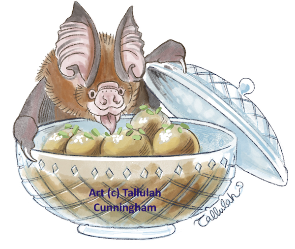 a Pakhistani species of Hipposideros investigates a candy dish of Gulab Jamun - one of my first series of FatBats