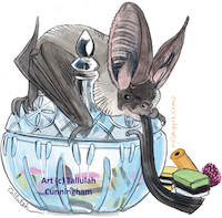 Long-eared Pipstrelle and licorish allsorts
