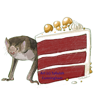 Vampire bat and Red Velvet Cake
