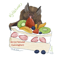 Gold-tipped bat and Pavlova