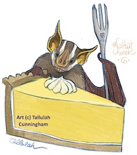 Gervais's fruit-eating bat and lemon tart