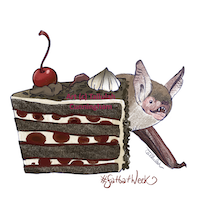 Bechstein's bat and Black Forest cake