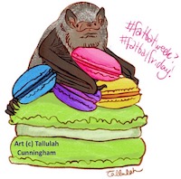 Australian Fishing Bat and Macarons