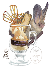 Brown long-eared bat and Affogato