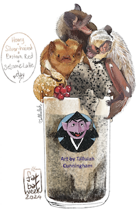 Hoary, Silverhaired, and Easter Red with a Sesame Latte decorated with The Count from Sesame Street