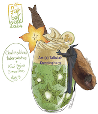 NZ Longtailed bat and a Fejoa-kiwi smoothie