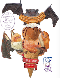 A Mexican Free-tail, Eastern and Western Red on a churro on fried icecream on a jam doughnut in a waffle cone