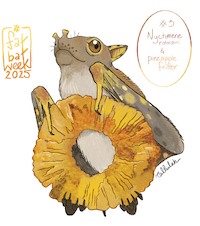 Eastern tube-nosed bat with pineapple fritter