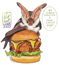 Spotted bat and Fried Chicken burger