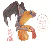 Greater Bulldog bat with a Crumbed prawn